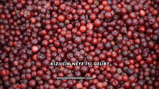 Kızılcık Neye İyi Gelir?