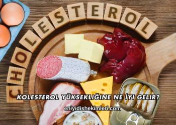 Kolesterol Yüksekliğine Ne İyi Gelir?