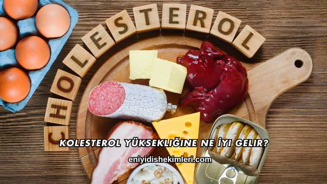 Kolesterol Yüksekliğine Ne İyi Gelir?