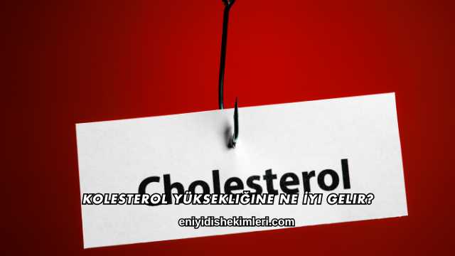 Kolesterol Yüksekliğine Ne İyi Gelir?