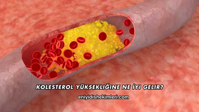 Kolesterol Yüksekliğine Ne İyi Gelir?
