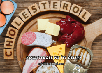 Kolesterole Ne İyi Gelir?