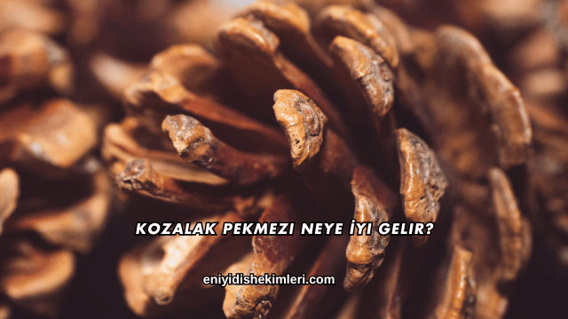 Kozalak Pekmezi Neye İyi Gelir?