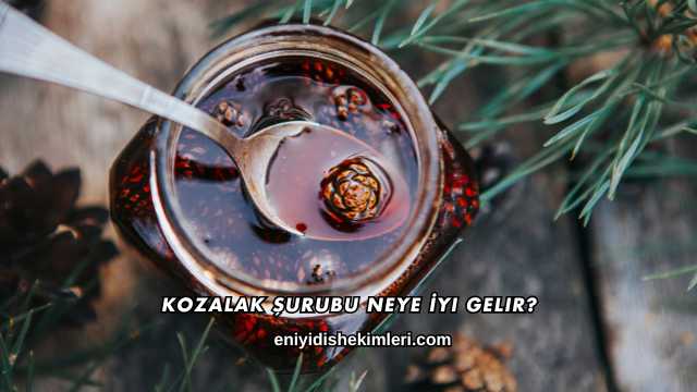 Kozalak Şurubu Neye İyi Gelir?