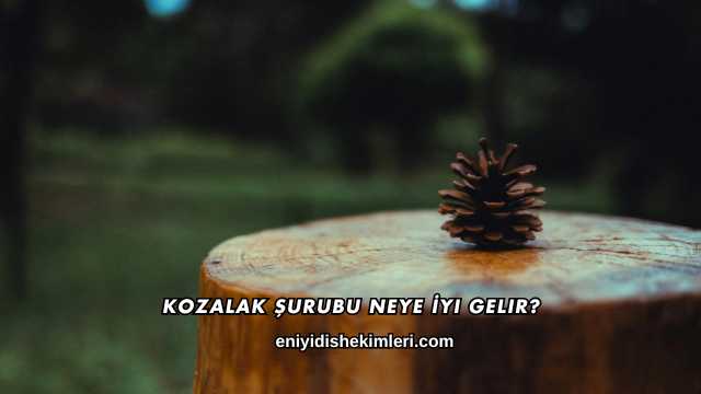 Kozalak Şurubu Neye İyi Gelir?