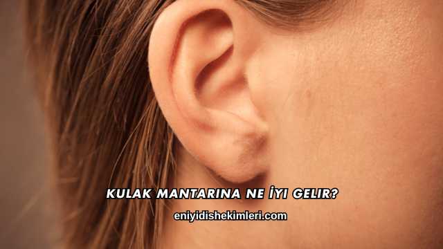 Kulak Mantarına Ne İyi Gelir?
