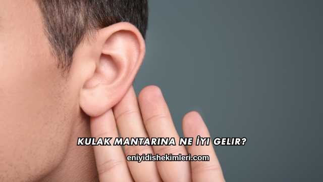 Kulak Mantarına Ne İyi Gelir?