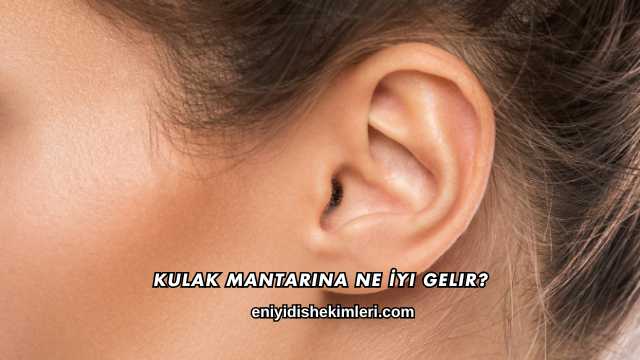 Kulak Mantarına Ne İyi Gelir?