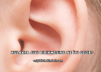 Kulakta Sıvı Birikmesine Ne İyi Gelir?