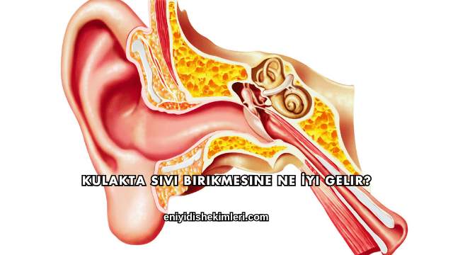 Kulakta Sıvı Birikmesine Ne İyi Gelir?
