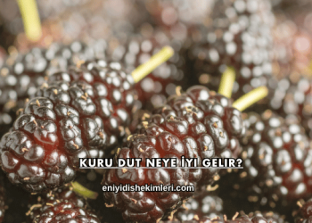 Kuru Dut Neye İyi Gelir?