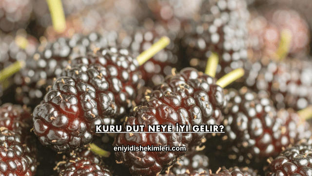 Kuru Dut Neye İyi Gelir?