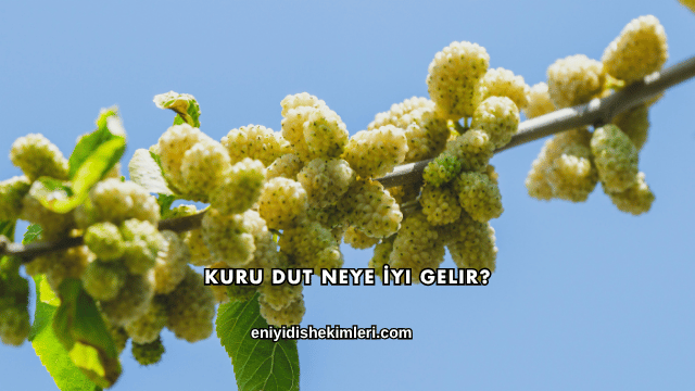 Kuru Dut Neye İyi Gelir?