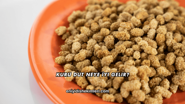 Kuru Dut Neye İyi Gelir?