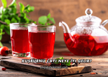 Kuşburnu Çayı Neye İyi Gelir?