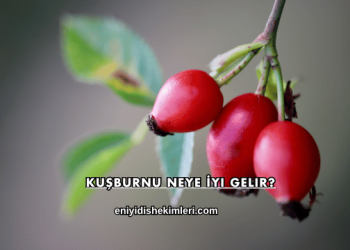 Kuşburnu Neye İyi Gelir?