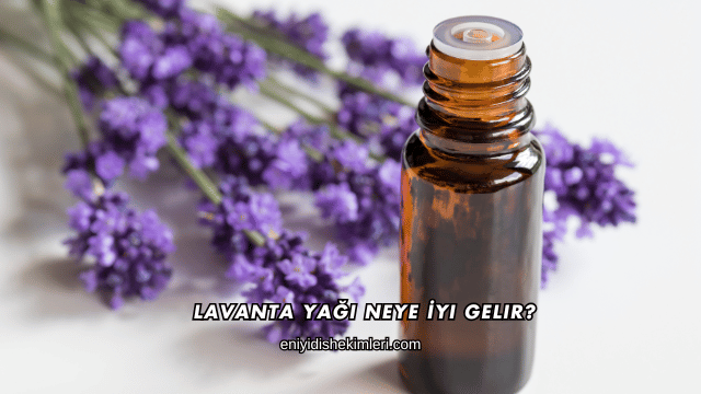 Lavanta Yağı Neye İyi Gelir?
