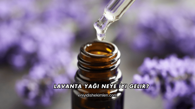 Lavanta Yağı Neye İyi Gelir?