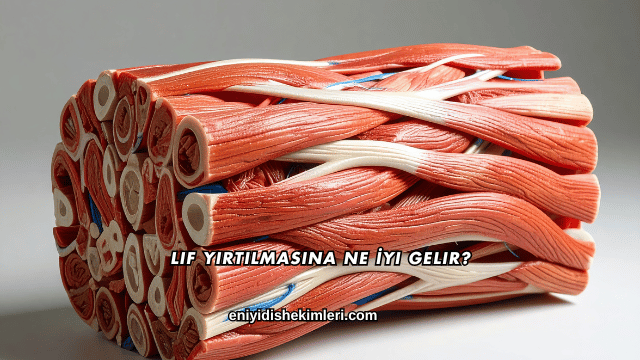 Lif Yırtılmasına Ne İyi Gelir?