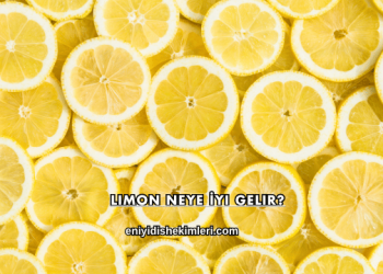 Limon Neye İyi Gelir?