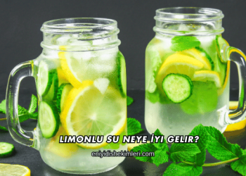 Limonlu Su Neye İyi Gelir?