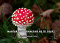 Mantar Zehirlenmesine Ne İyi Gelir?