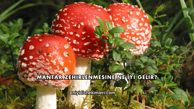 Mantar Zehirlenmesine Ne İyi Gelir?