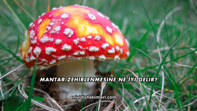 Mantar Zehirlenmesine Ne İyi Gelir?