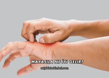 Mayasıla Ne İyi Gelir?