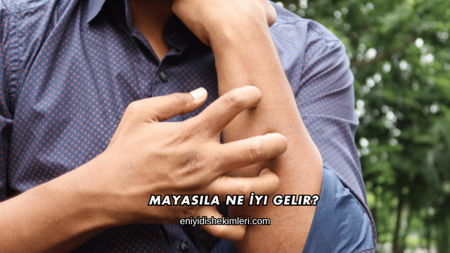 Mayasıla Ne İyi Gelir?