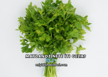 Maydanoz Neye İyi Gelir?