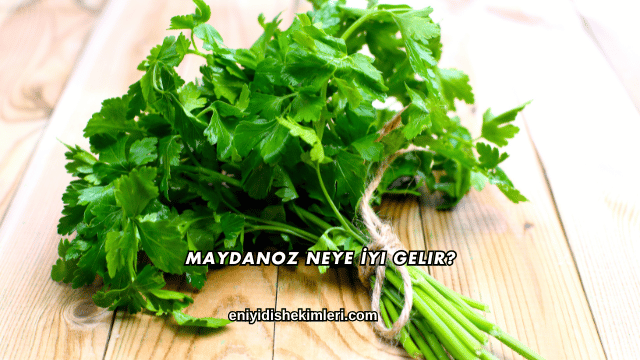 Maydanoz Neye İyi Gelir?