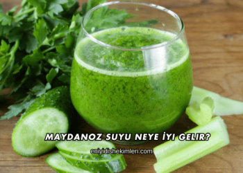 Maydanoz Suyu Neye İyi Gelir?