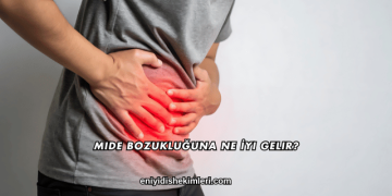 Mide Bozukluğuna Ne İyi Gelir?