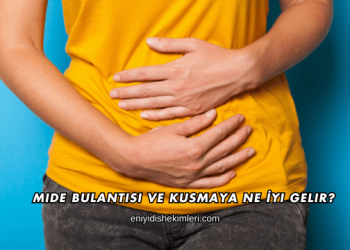 Mide Bulantısı ve Kusmaya Ne İyi Gelir?