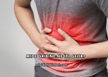 Mide Gribine Ne İyi Gelir?