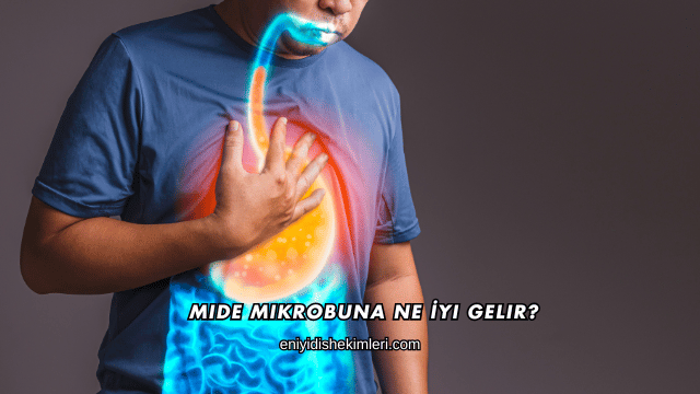 Mide Mikrobuna Ne İyi Gelir?