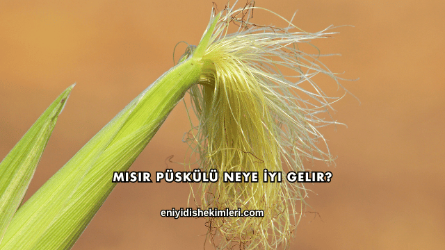 Mısır Püskülü Neye İyi Gelir?