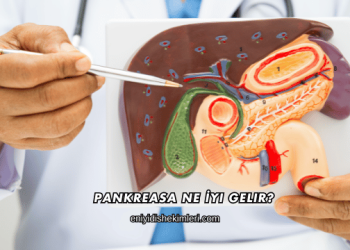 Pankreasa Ne İyi Gelir?