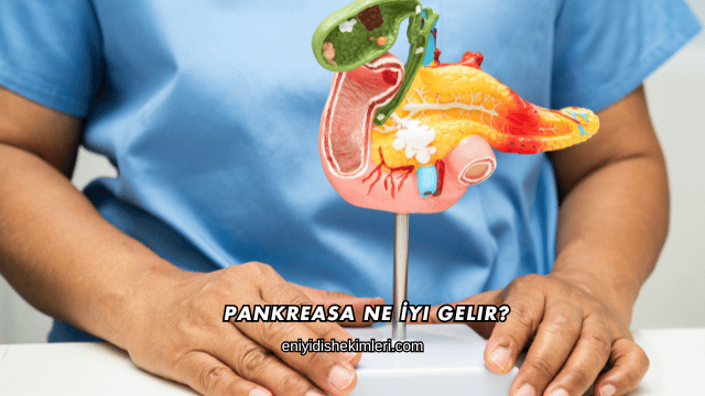 Pankreasa Ne İyi Gelir?