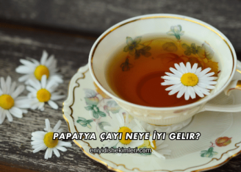 Papatya Çayı Neye İyi Gelir?