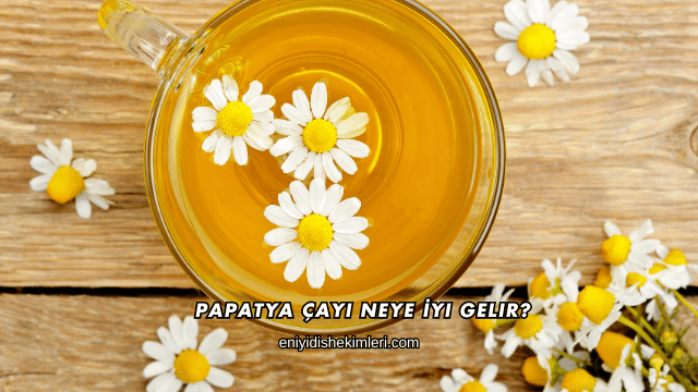 Papatya Çayı Neye İyi Gelir?