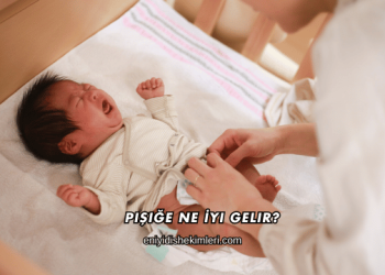 Pişiğe Ne İyi Gelir?