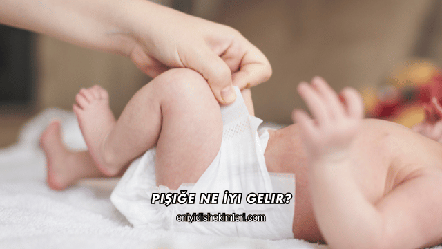 Pişiğe Ne İyi Gelir?