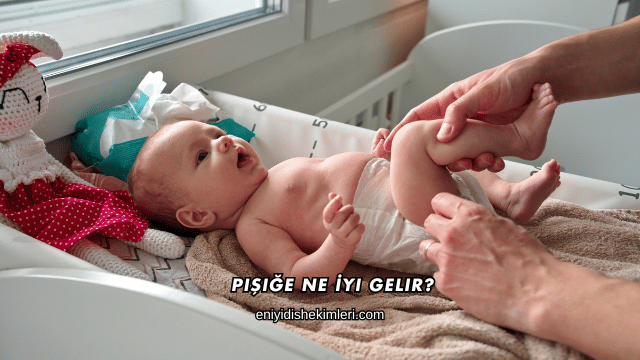 Pişiğe Ne İyi Gelir?