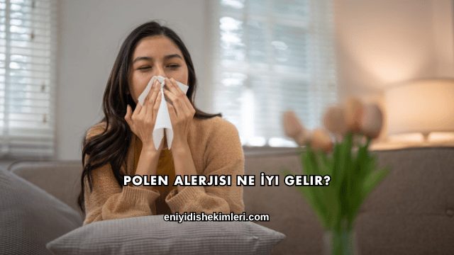 Polen Alerjisi Ne İyi Gelir?