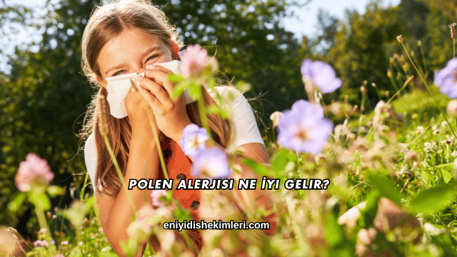 Polen Alerjisi Ne İyi Gelir?
