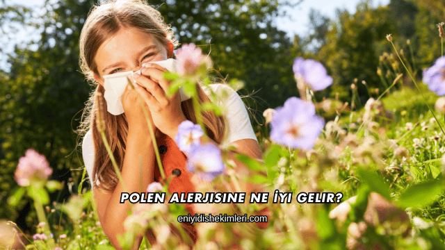 Polen Alerjisine Ne İyi Gelir?