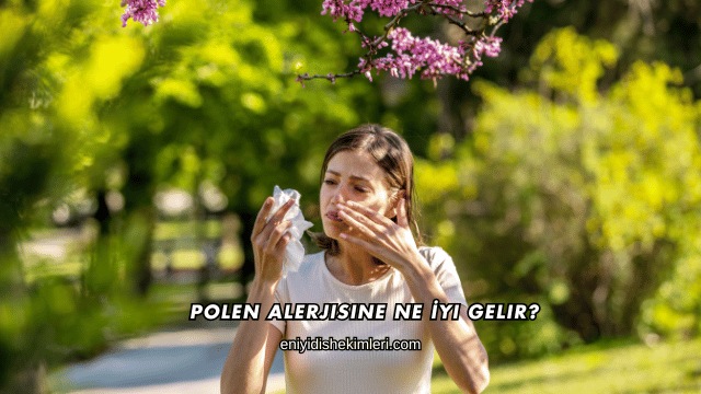 Polen Alerjisine Ne İyi Gelir?