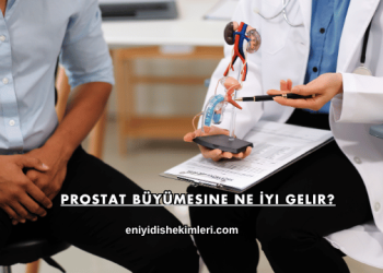 Prostat Büyümesine Ne İyi Gelir?